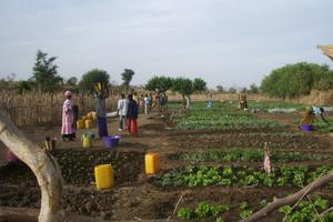 Mali- Progetto di approvvigionamento idrico
